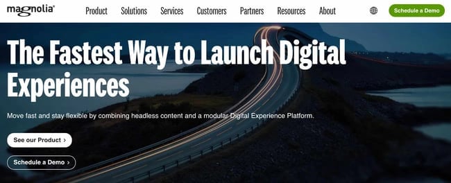 best CMS platform Magnolia