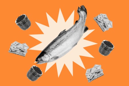 Fish, caviar, and stacks of money representing the caviar bump trend